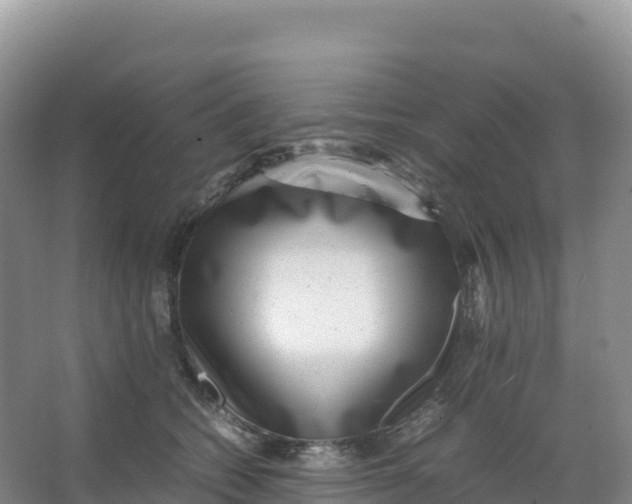 X0000066960562200604142118