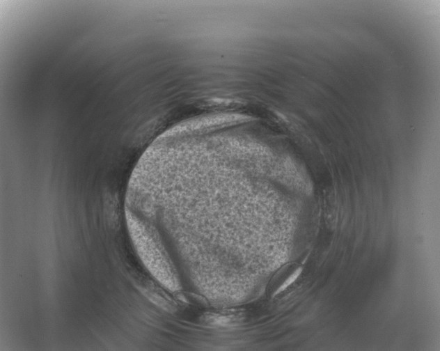 X0000066960563200604142118