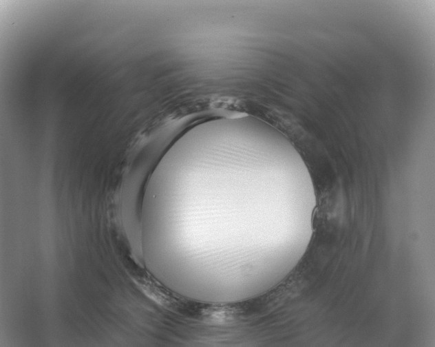 X0000066960564200604142118