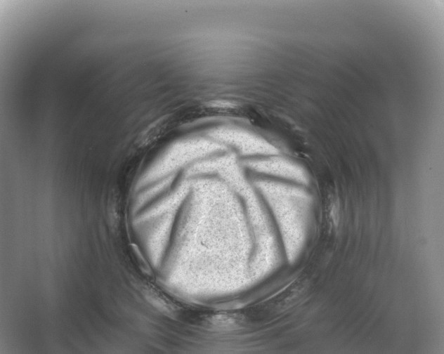 X0000066960566200604142118