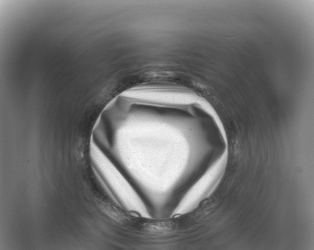 X0000066960567200604142118