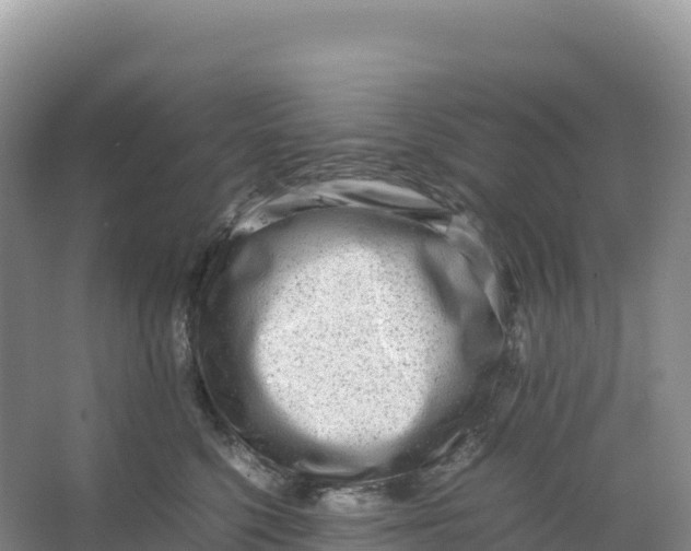 X0000066960568200604142118