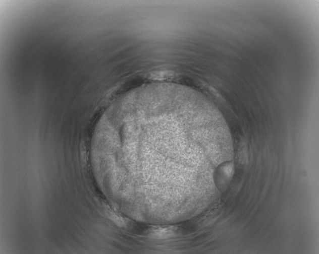 X0000066960569200604142118