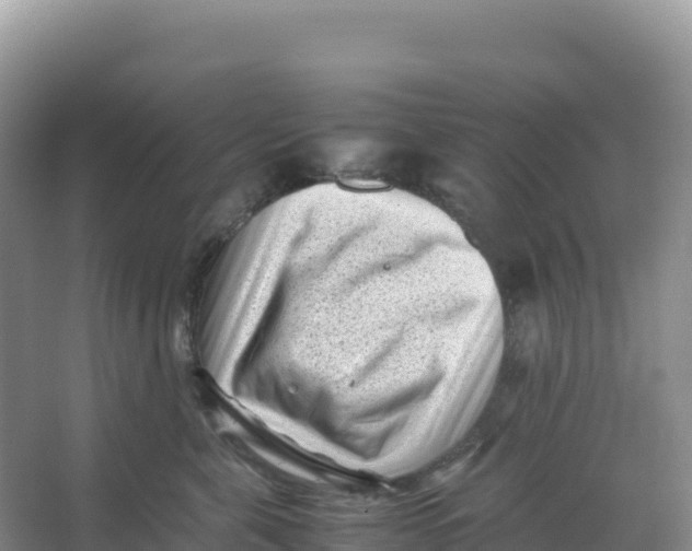 X0000066960571200604142118