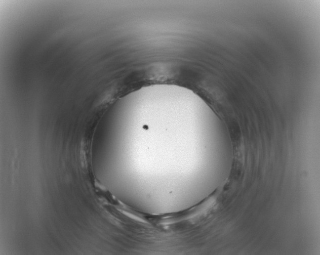 X0000066960572200604142118