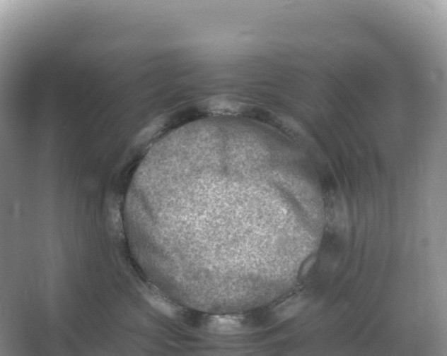 X0000066960573200604142118