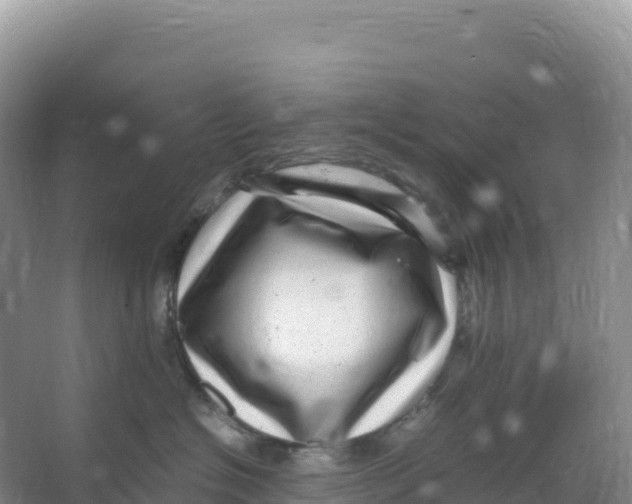 X0000066960574200604142118