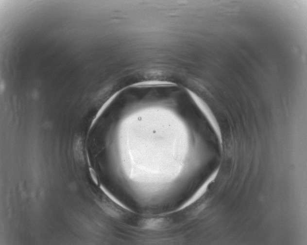 X0000066960575200604142118