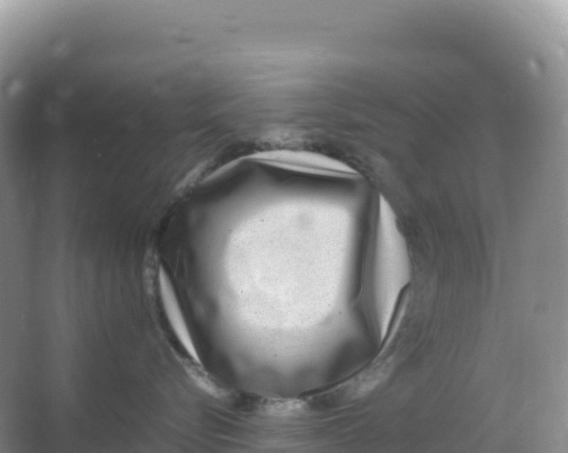 X0000066960576200604142118