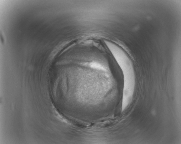 X0000066960577200604142117