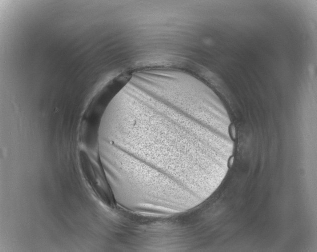 X0000066960578200604142117