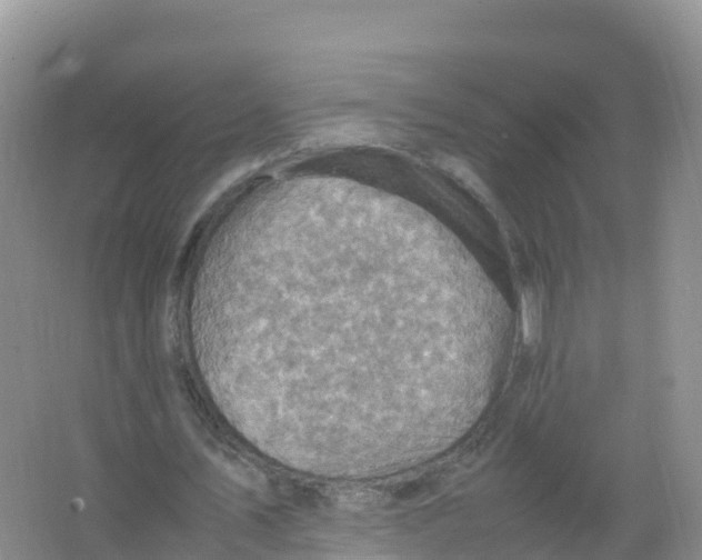 X0000066960579200604142117