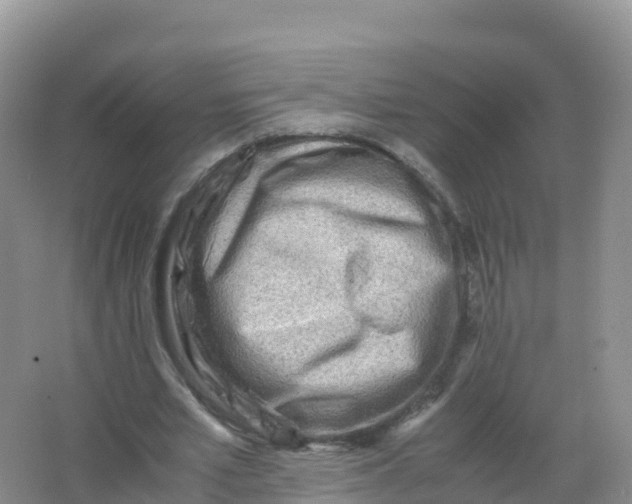 X0000066960581200604142117