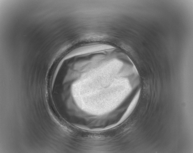 X0000066960582200604142117