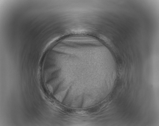 X0000066960583200604142117