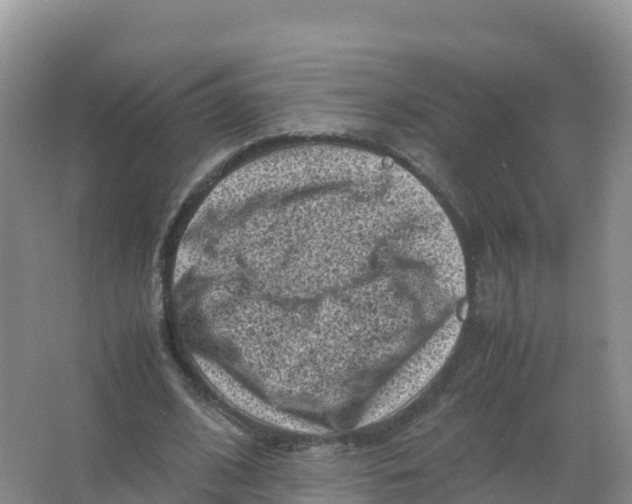 X0000066960584200604142117