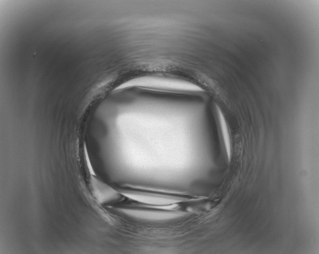 X0000066960589200604142117