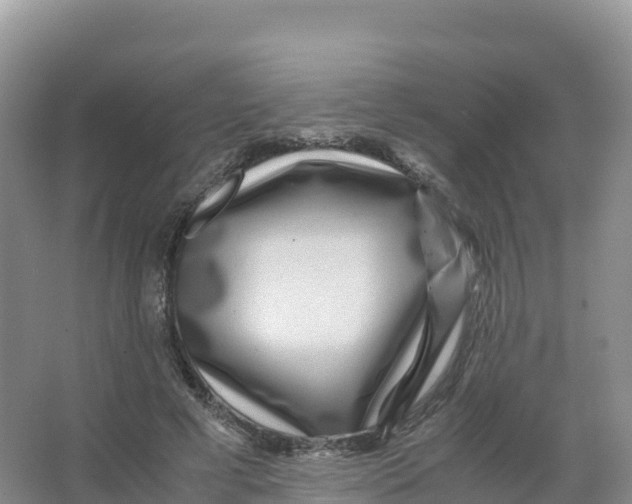 X0000066960593200604142117