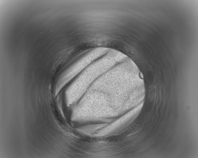 X0000066960594200604142117