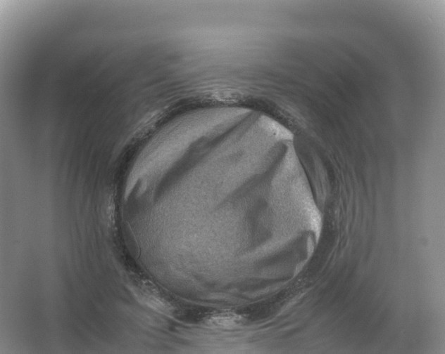 X0000066960595200604142117