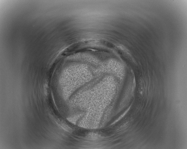 X0000066960596200604142117