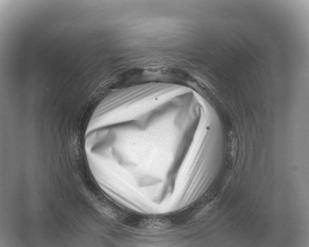 X0000066960597200604142117