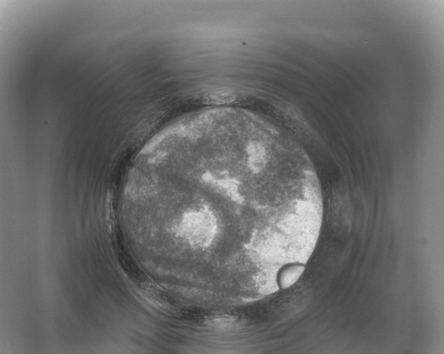 X0000066960598200604142117