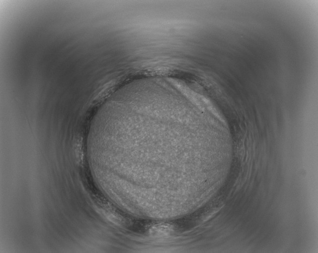 X0000066960599200604142117