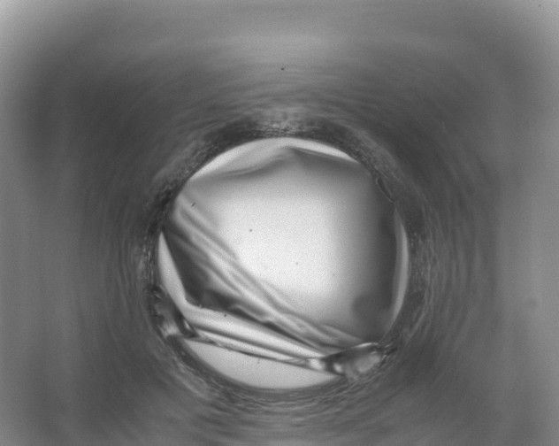 X0000066960601200604142117