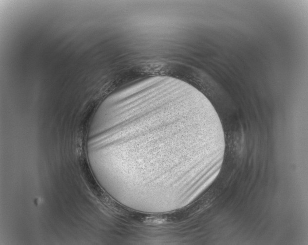 X0000066960602200604142117