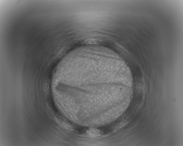 X0000066960603200604142117