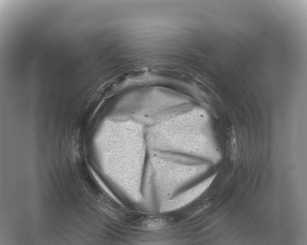 X0000066960604200604142117