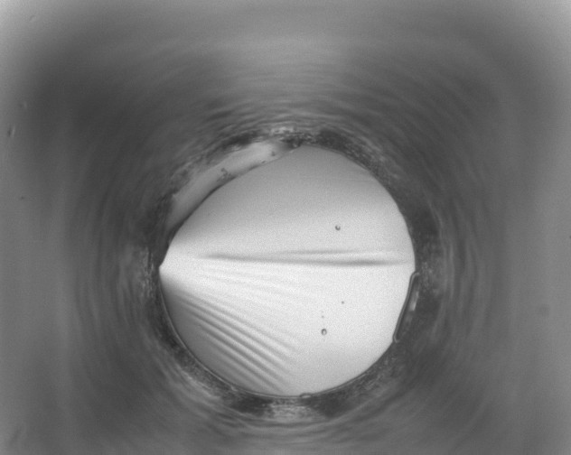 X0000066960605200604142117