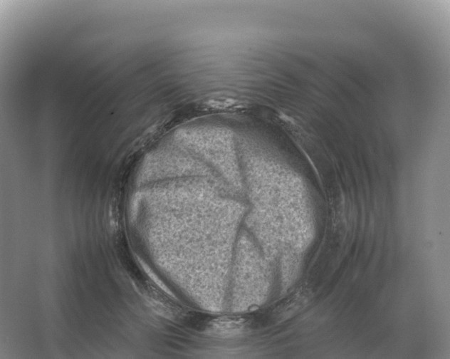 X0000066960606200604142117