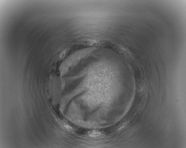 X0000066960607200604142117