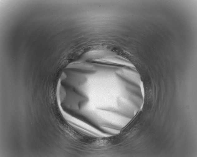 X0000066960609200604142117