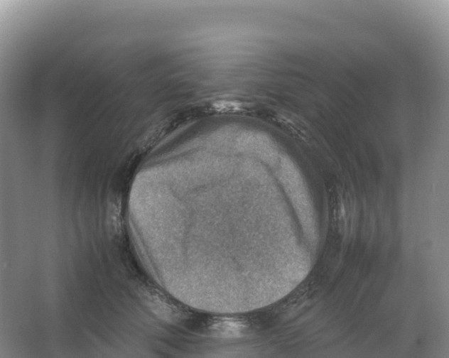 X0000066960610200604142117