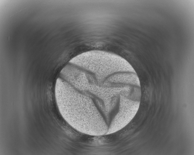 X0000066960612200604142117