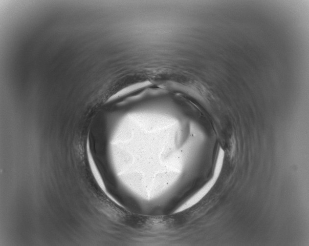 X0000066960613200604142117