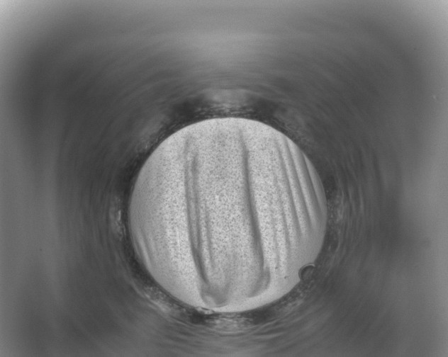 X0000066960615200604142117