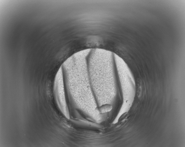 X0000066960616200604142117