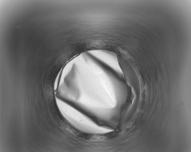 X0000066960617200604142117