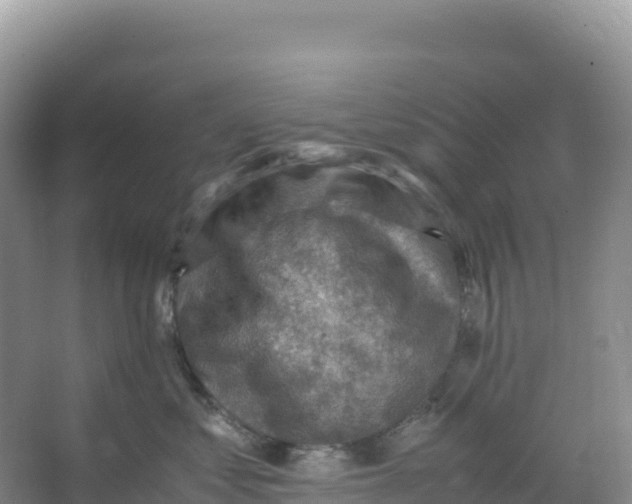 X0000066960621200604142117