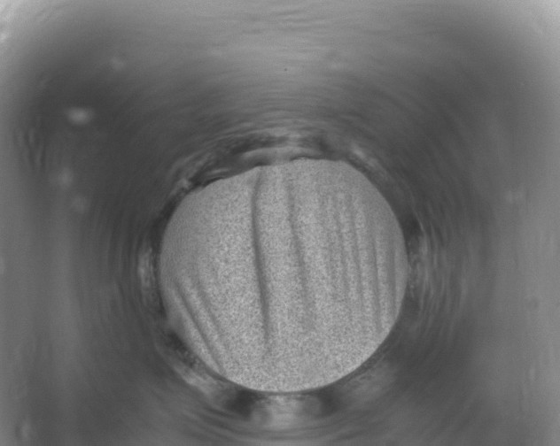 X0000066960623200604142117