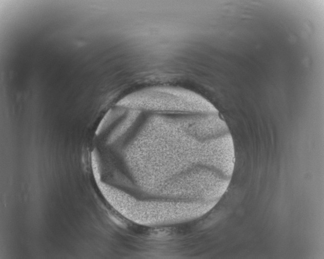 X0000066960624200604142117