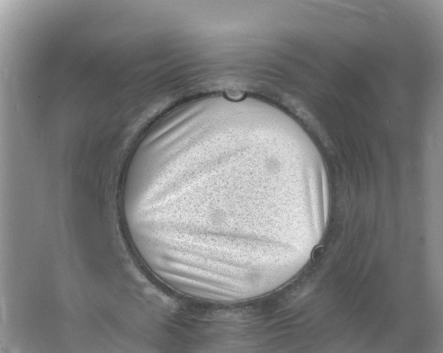 X0000066960625200604142116