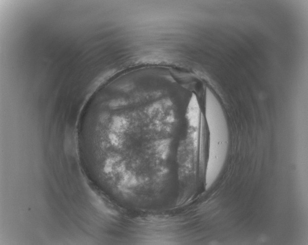 X0000066960626200604142116