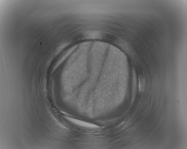 X0000066960627200604142116