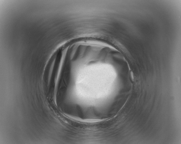 X0000066960628200604142116