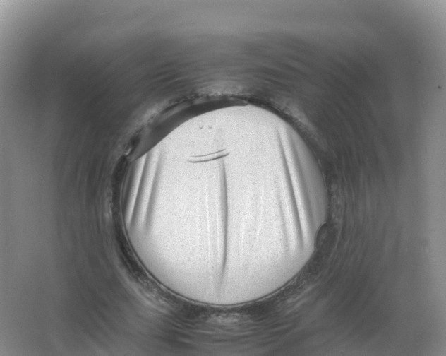 X0000066960631200604142116